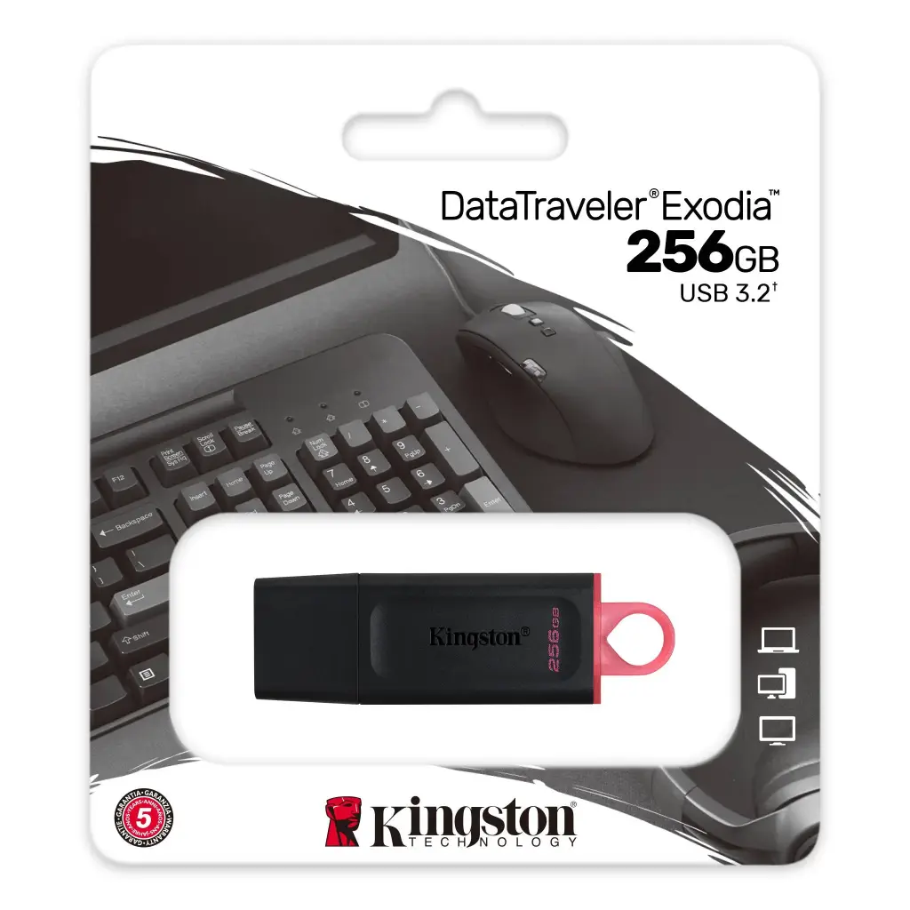 MEMORIA USB KINGSTON 256GB EXODIA DTX