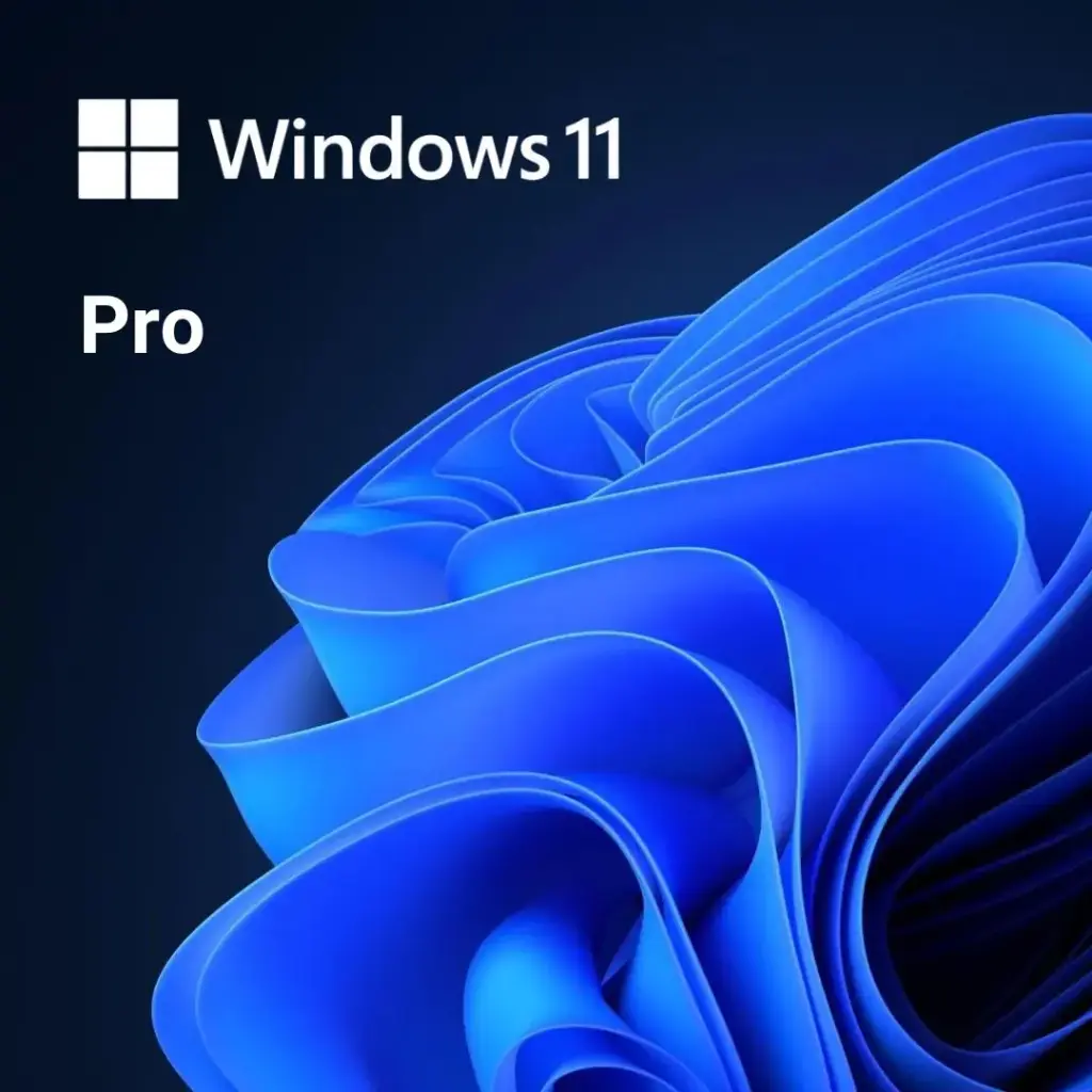 WINDOWS 11 PRO COMMERCIAL PERPETUAL